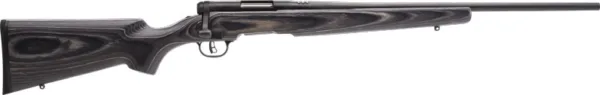 SAVAGE BMAG SPORTER .17WSM 22"