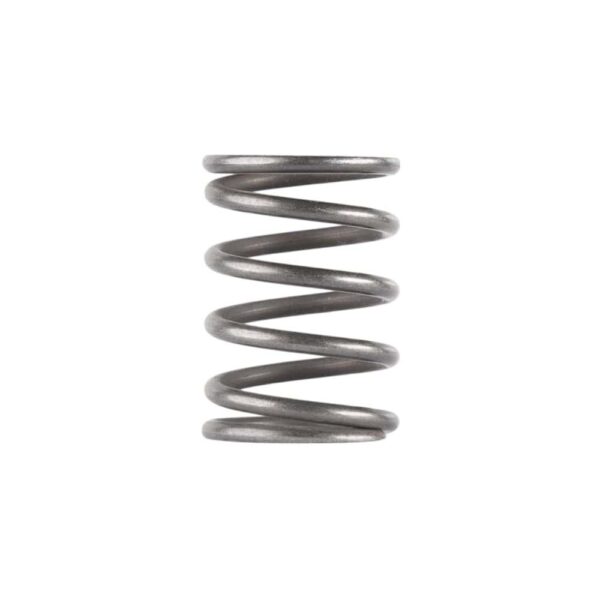 Dead Air Piston Spring for Ghost Odessa and Mojave 9